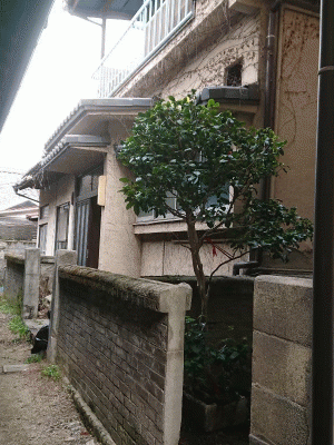 吉浦家屋解体