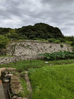安浦木造家屋解体